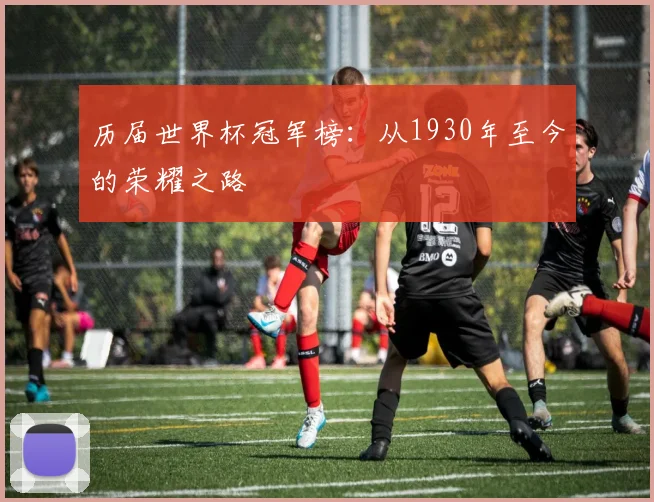 历届世界杯冠军榜：从1930年至今的荣耀之路